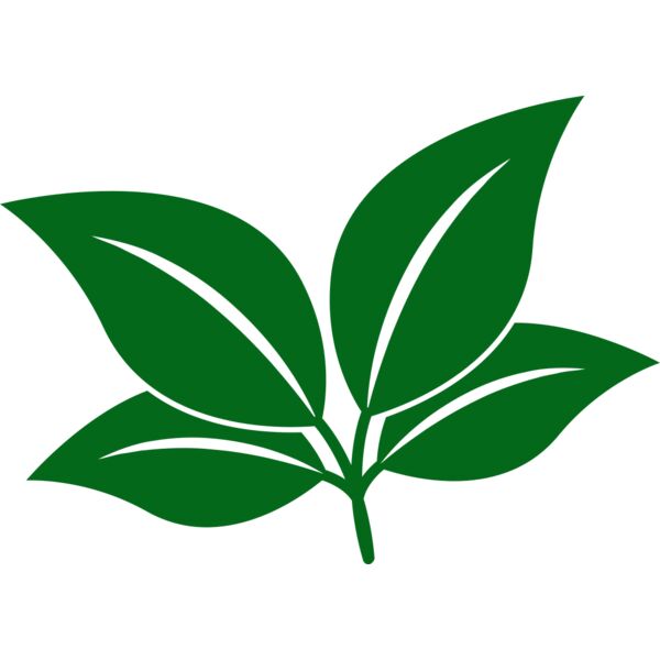 Leaves Thumbnail