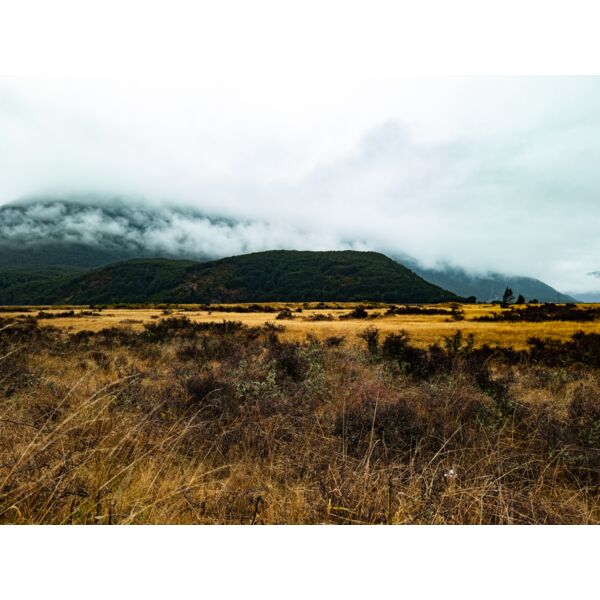 20210607 133822 Thumbnail